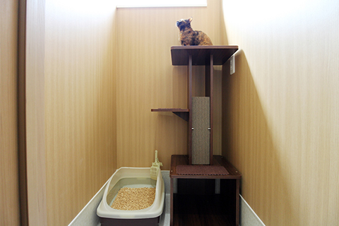 猫ちゃん専用の入院室とホテル イメージ