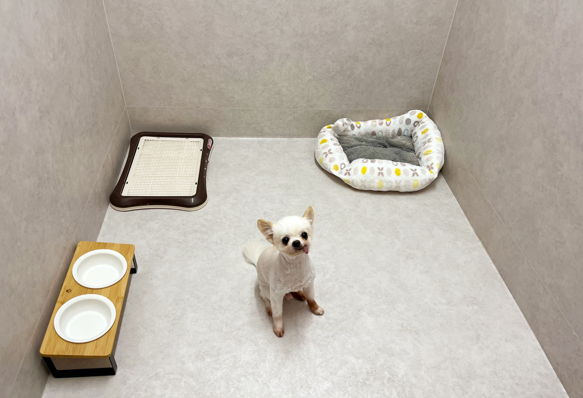犬の個室ホテル