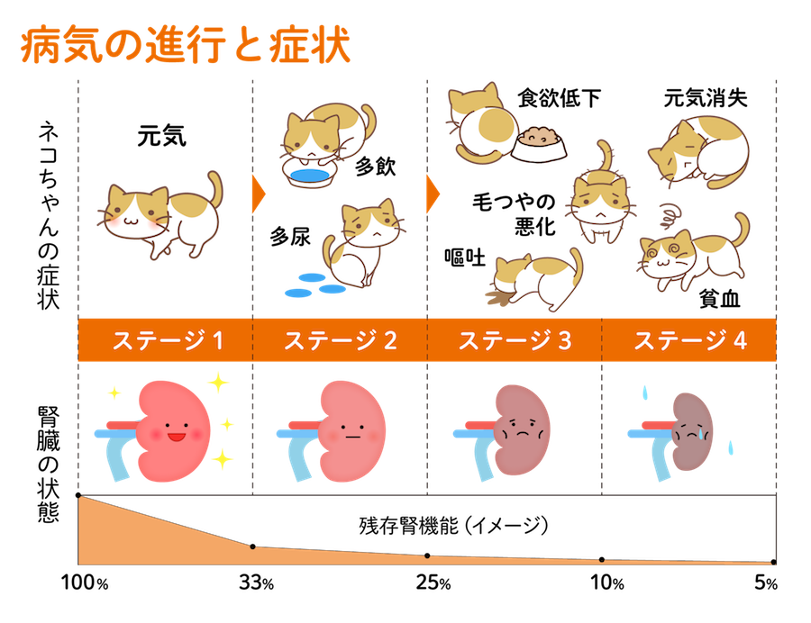 慢性腎臓病　病気の進行と症状