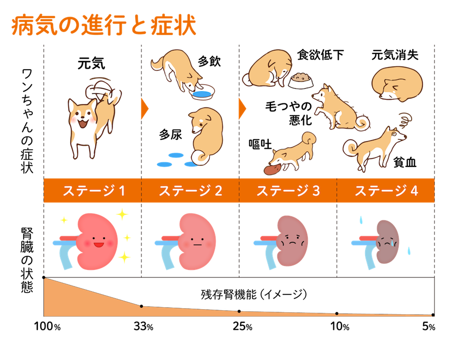 犬 腎 不全 治っ た